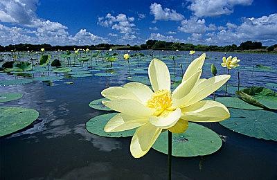 赛博朋克枪战动作游戏《Spine》公布最新预告片